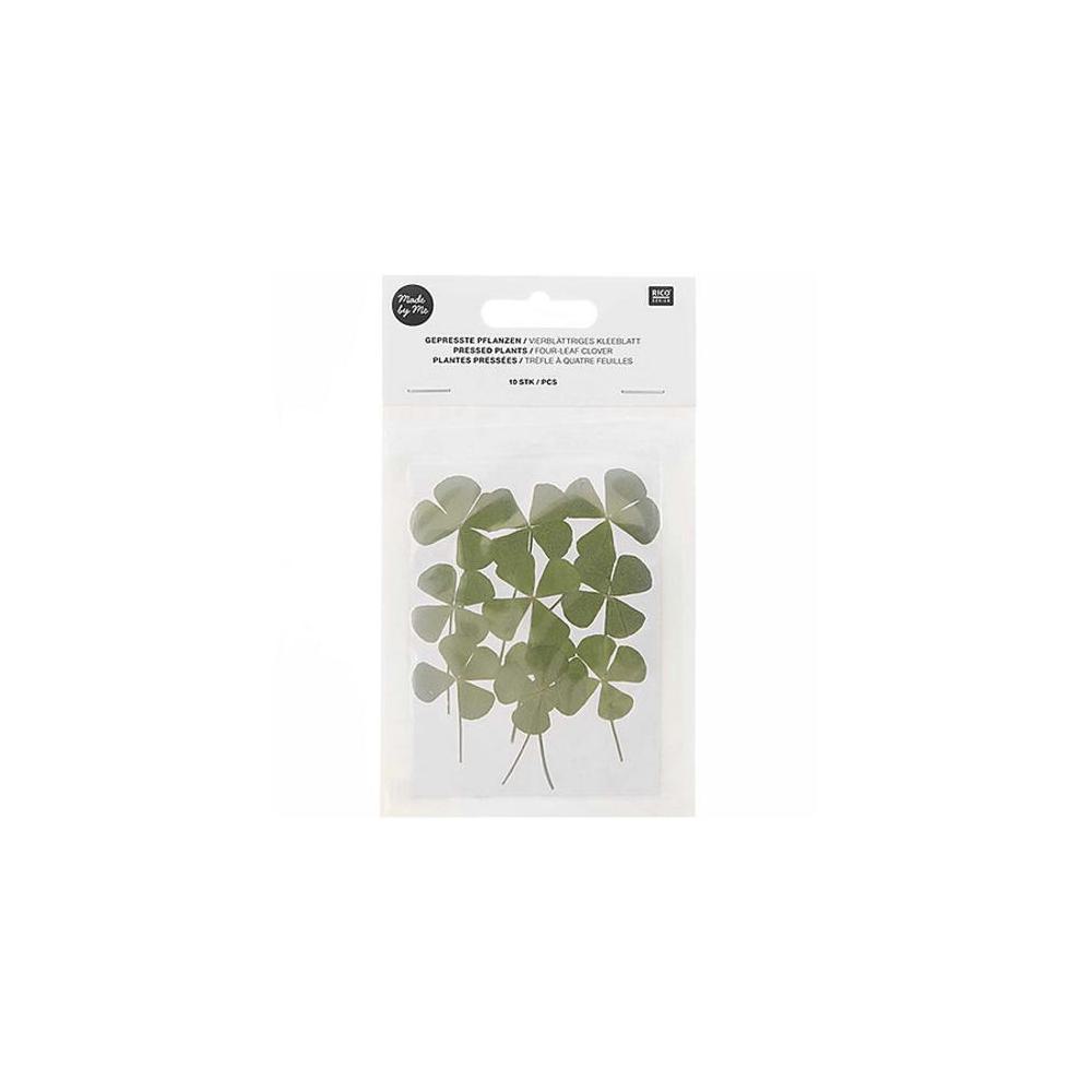 Craft Supplies, Art & School, Rico Design, Pressed Plant Pack, 4 Leaf Clover, 10 piece, 746494